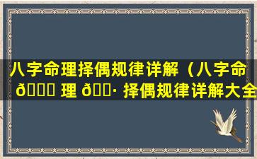 八字命理择偶规律详解（八字命 🐅 理 🌷 择偶规律详解大全）